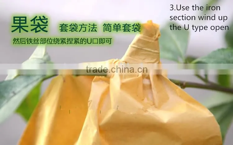 Fruit cover peach bag/kiwi fruit bag/mango bag