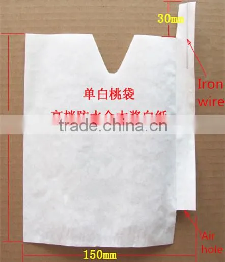 Fruit cover peach bag/kiwi fruit bag/mango bag