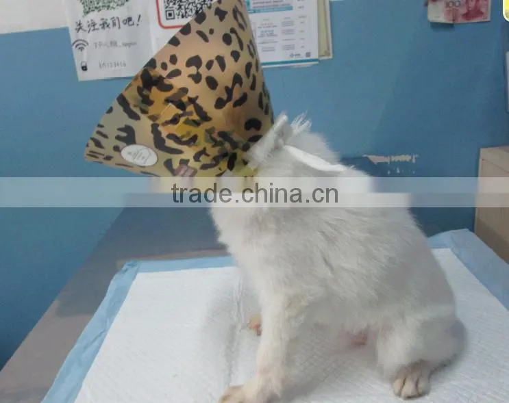 Pet Medical Elizabethan Collar