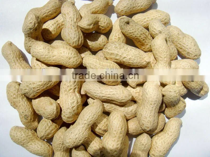 Roasted Peanut Inshell