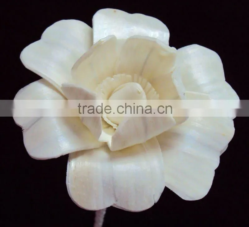 Sola wood flower