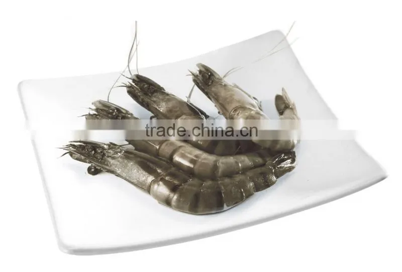 Frozen Shrimp