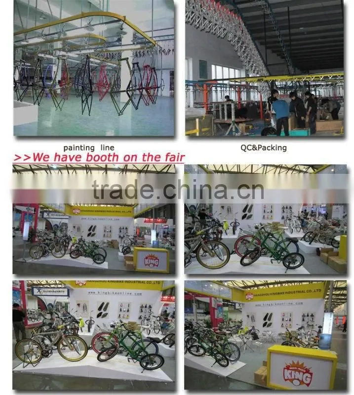 2015 cheap fixie frame 700C fixed gear bike/fixie