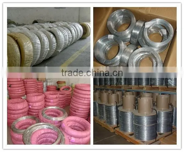 10 gauge stainless steel wire