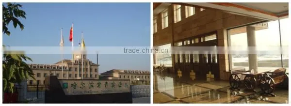 Disposable wholesale party nature bamboo toothpicks