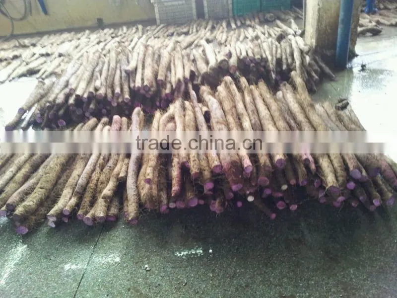 Vacuum Packing Fresh Yam