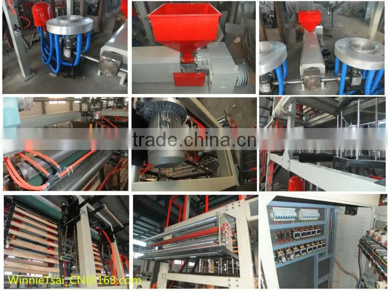 Double Head Film Blowing Machine Film Extrusion Machine