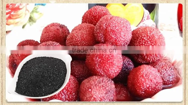 FAQ 27--Effect Of Seaweed Fertilizer On Red Bayberry