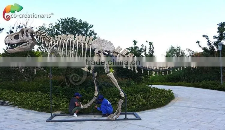 High simulation fiberglass Triceratops dinosaur fossils