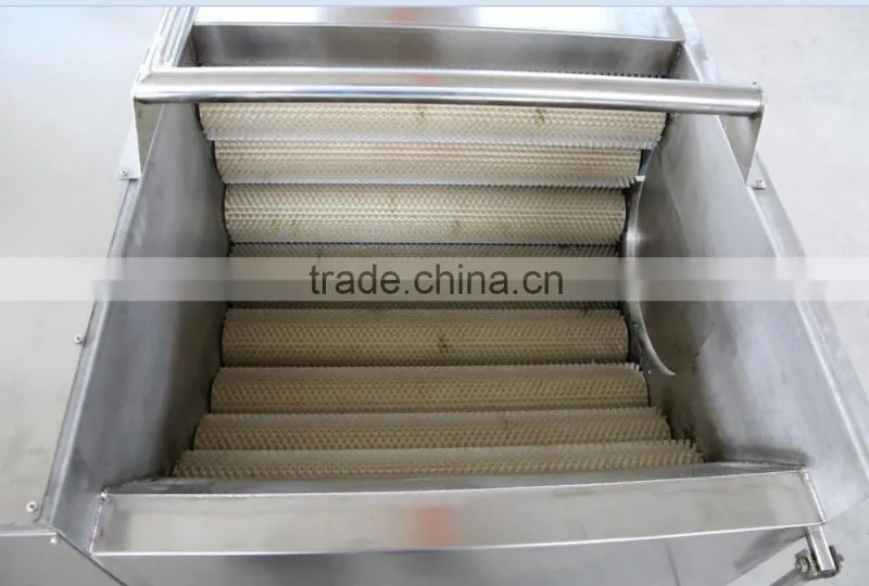 Industry and distribution center use brush potato cleaning machine