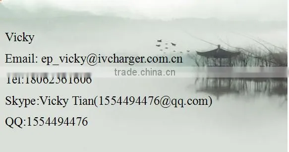 Gold supplier lead acid battery charger 12V 3A SLA battery charger with cheap price
