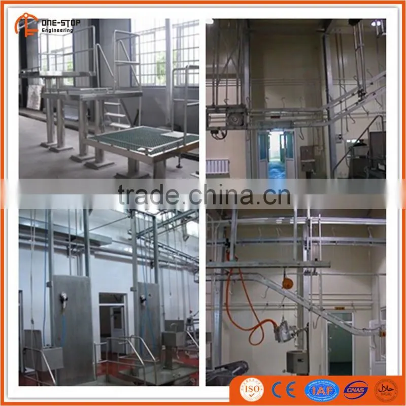 500 cattle slaughter line equipment with good layout design