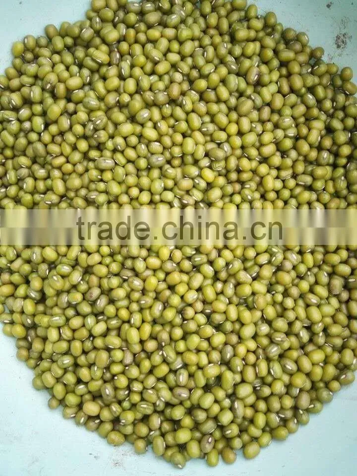 High quality organic Green mung beans for sale