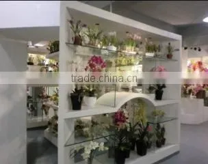Shenzhen HYS Trading Co., Ltd. company overview - view 3