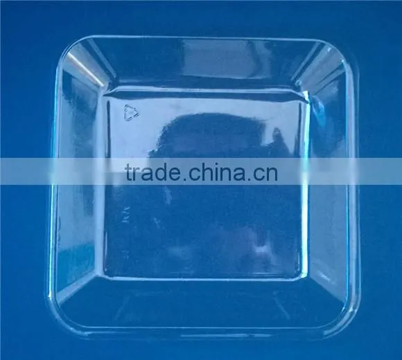 can be customized design Transparency plastic tray PET Tray -B1