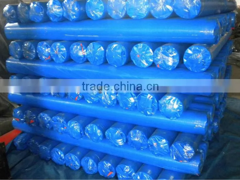 strip style Both Sides Coated Fabric with PE/ PE Tarpaulin