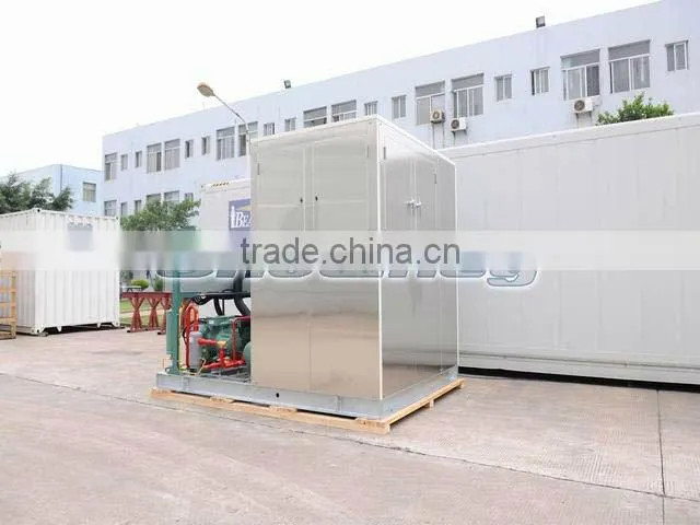 15T Medium-Sized New Design Plate Ice Machine-2012(15T/Day)