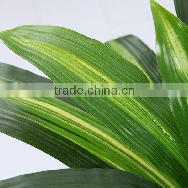 Artificial Dracaena Fragrans