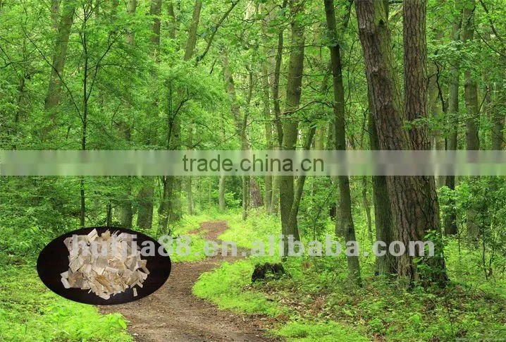 Customized 2-ply carbonless paper (ncr paper) from China