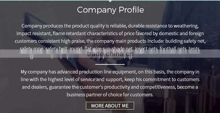 Alibaba China Supplier Balcony Protection Net