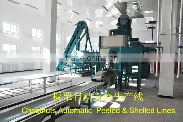 Roasted Peeled Chestnuts Snacks,Ready to eat snacks, Organic Snacks for sale