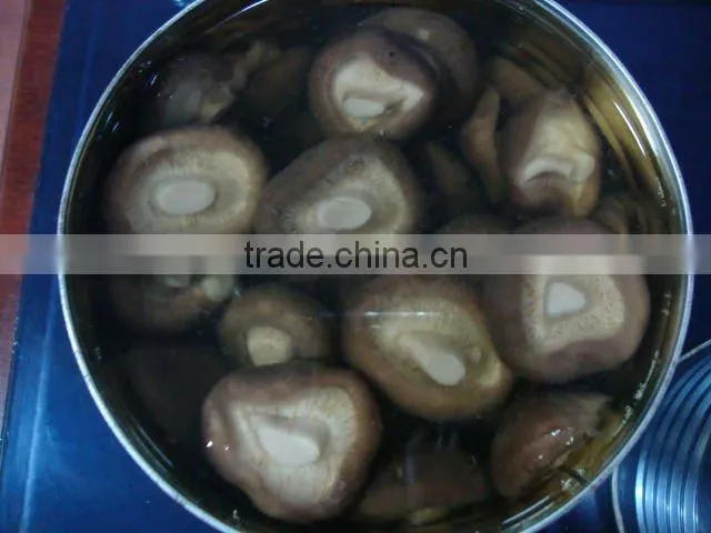 New season Whole Part preserved shiitake growing