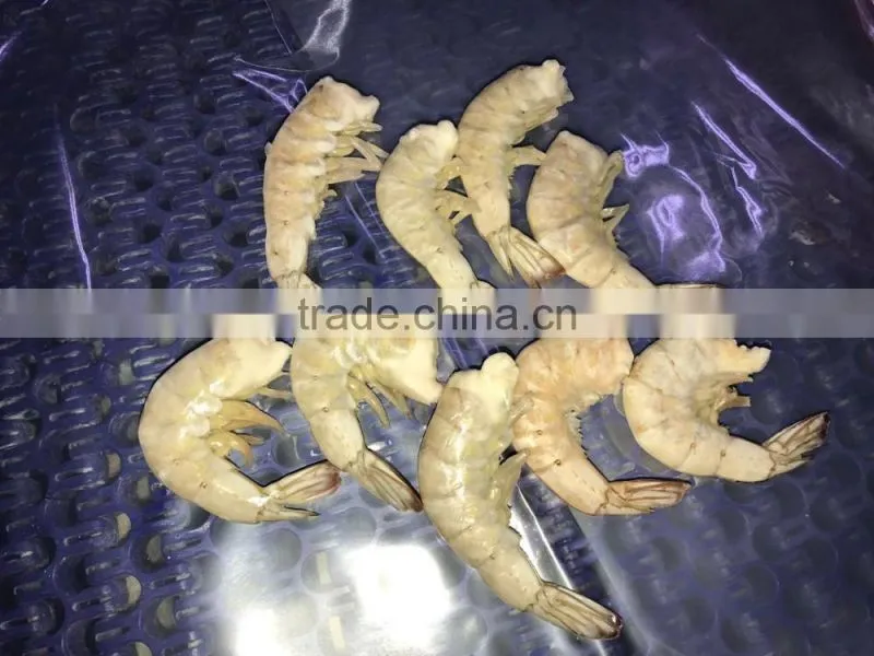Top quality seafood headless vannamei shrimp