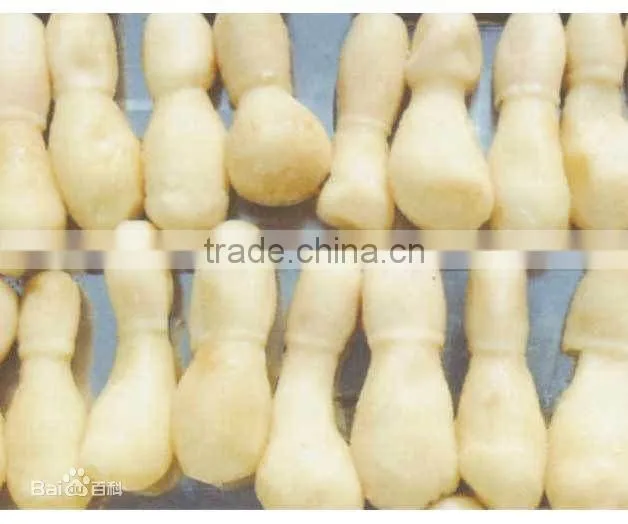 hot sale pleurotus eryngii