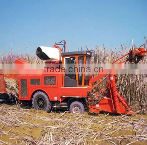 Whole stalk sugarcane combine harvester