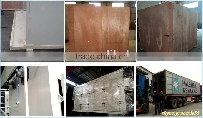 Widely used efficient electric heat hot air ginger drying machine price