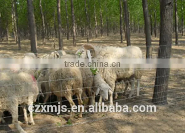 Metal animal farm fence panel, fence animal enclosure fence