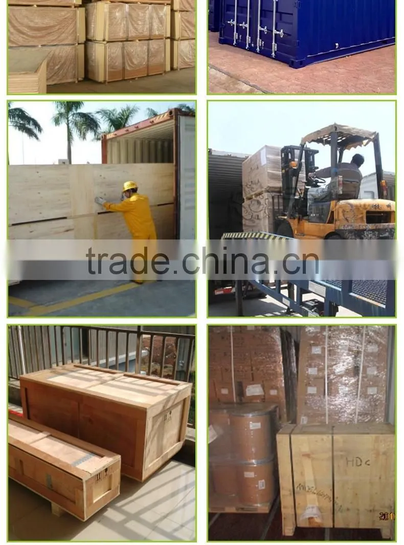 Cost-efficient Cocoa Butter Press Machine Sesame Oil Press Machine