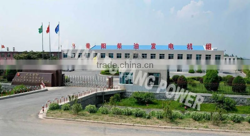 Made in China Gasoline Portable generator