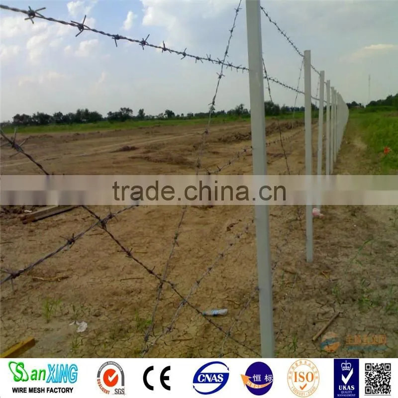 12 gauge Barbed Wire Coil Type galvanized barbed wire