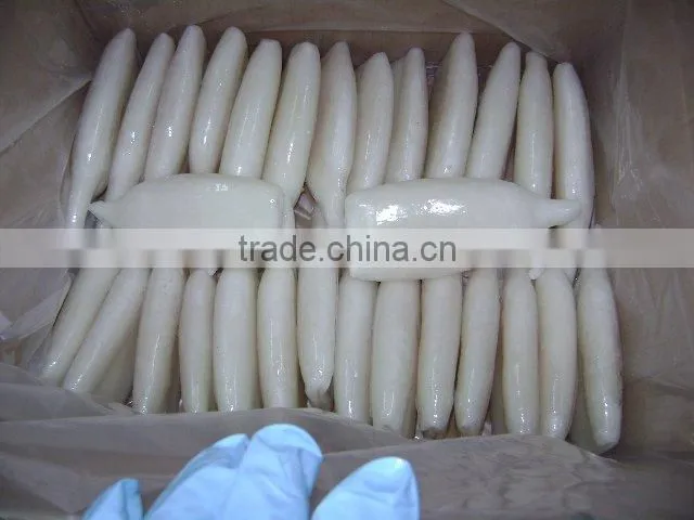 Frozen squid tube with nice quality