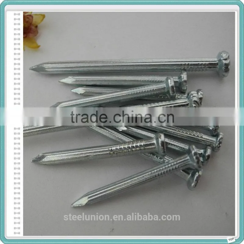Galvanized Hardened Concrete Steel Nails/Stainless Steel Concrete Nail
