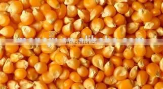 Automatic high efficiency seed cleaning machine/grain air-screen cleaner/sunflower seeds cleaning machine