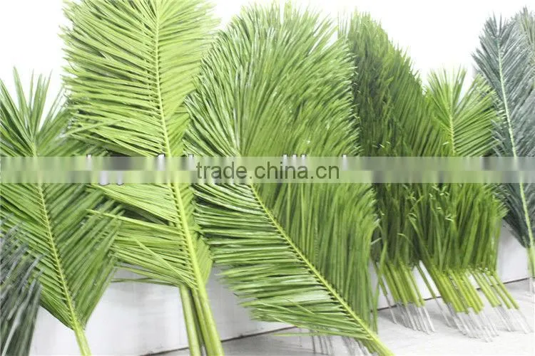coconuts leaves price