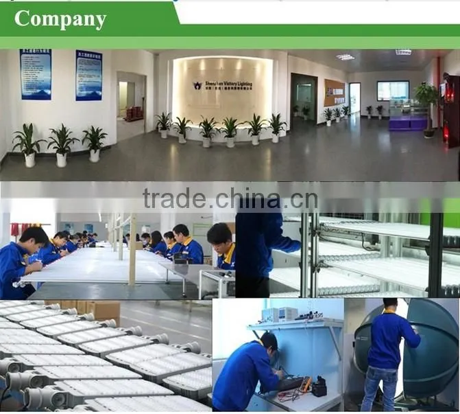 shenzhen victory lighting led manufaturer 10w led flood light