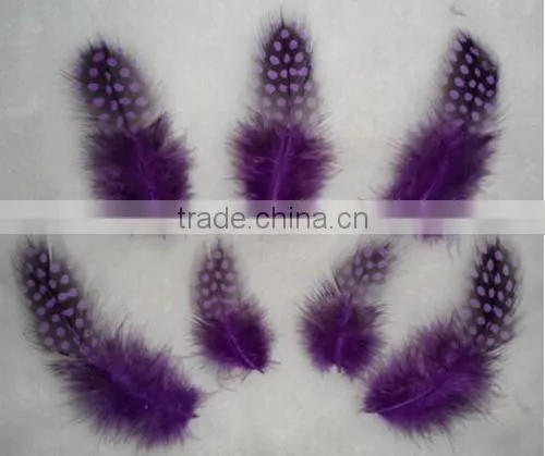 Guined Fowl Spot Feather For Handmade Gift Decoration