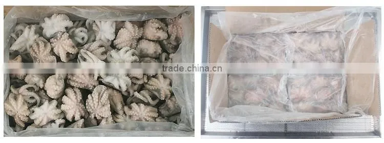 Good quality frozen octopus for sale