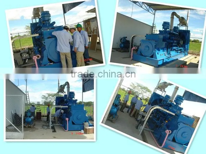 ISO approved 500kw /625kva container gas genset for Iran market