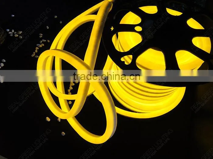220V LED Neon Flex Rope Light