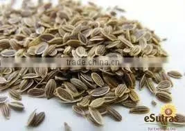 100% Pure Dill Oil BP