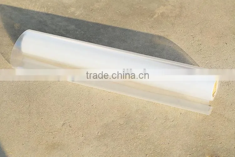 Polaroid Plastic Matte PET Film