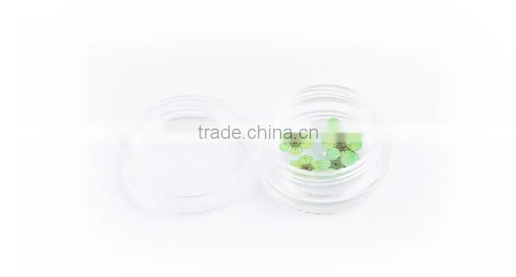 2016 12 colors Dried Dry flower UV gel acrylic false tips nail art decoration real flower