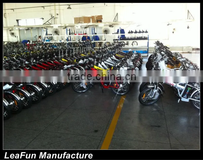 Europe NO1 Sell Aluminum alloy Electric Bike With High Power Motors .36VLithium Battery