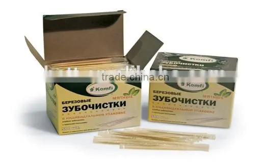 cheap plastic tube double point wooden and bamboo toothpick