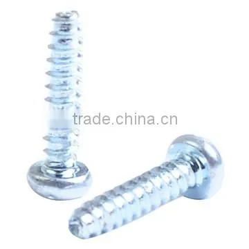 China hardware factory customized metal non-standard threaded phillips screw