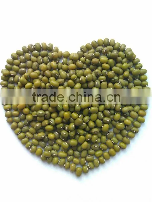 Organic Mung bean for sprouting,2011 crop. Hps